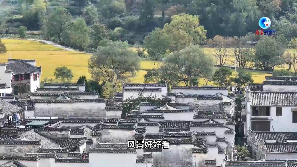 多國青年走進“中國畫里鄉村”體驗山水人文之美